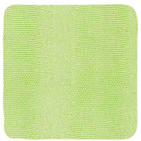 Onderzetter Vierkant Green  Lizard